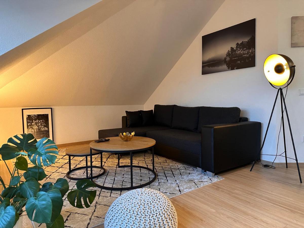 Oasis Appart - Wohnen Am Elbtal - Balkon - Netflix - Tiefgarage دريسدن المظهر الخارجي الصورة