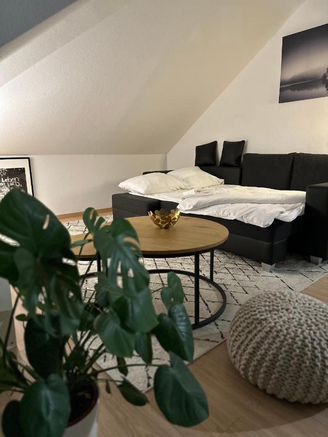 Oasis Appart - Wohnen Am Elbtal - Balkon - Netflix - Tiefgarage دريسدن المظهر الخارجي الصورة